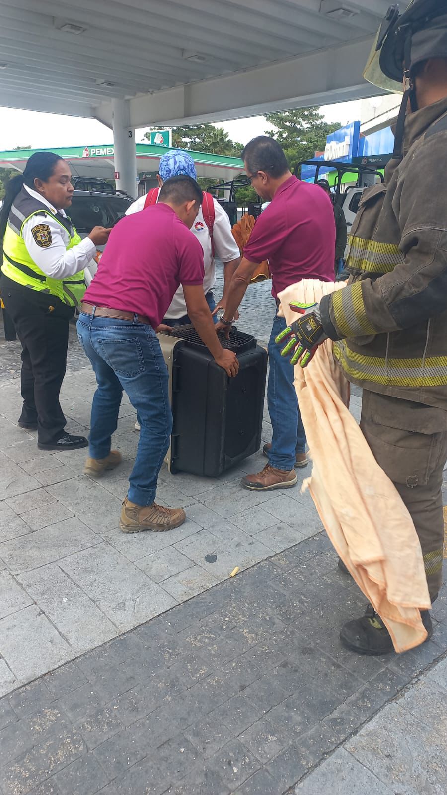 uploads/6/32/01 (2826).Jpeg